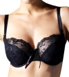 Hot Brand: Panache